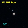 V* BH Boo