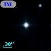 TYC 2009-1128-1