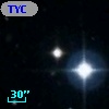 TYC 2006-503-1