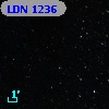 LDN 1236