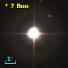 *   7 Boo