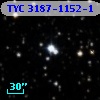 TYC 3187-1152-1