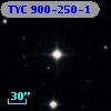 TYC  900-250-1