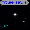 TYC  900-1161-1