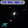 TYC  901-403-1