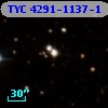 TYC 4291-1137-1