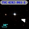 TYC 4292-981-1