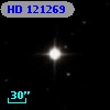 HD 121269