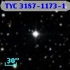 TYC 3187-1173-1