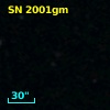 SN 2001gm