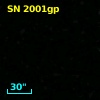 SN 2001gp