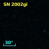 SN 2002gi