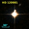 HD 120981