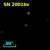 SN 2001bv