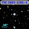 TYC 3187-1285-1