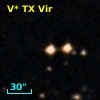 V* TX Vir