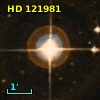 HD 121981