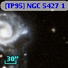 [TP95] NGC  5427   1