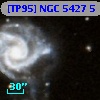 [TP95] NGC  5427   5