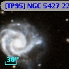 [TP95] NGC  5427  22