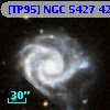 [TP95] NGC  5427  42