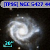 [TP95] NGC  5427  44