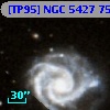 [TP95] NGC  5427  75