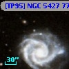 [TP95] NGC  5427  77