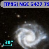 [TP95] NGC  5427  79