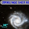 [TP95] NGC  5427  85