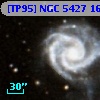 [TP95] NGC  5427 160