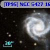 [TP95] NGC  5427 167