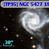 [TP95] NGC  5427 186
