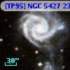 [TP95] NGC  5427 234