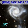 [TP95] NGC  5427 235