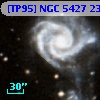 [TP95] NGC  5427 236