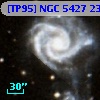 [TP95] NGC  5427 238