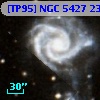 [TP95] NGC  5427 239