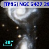[TP95] NGC  5427 288