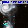 [TP95] NGC  5427 295