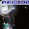 [TP95] NGC  5427 300