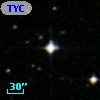 TYC 4981-1208-1