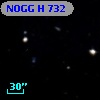 NOGG H  732