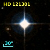 HD 121301