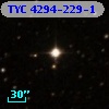 TYC 4294-229-1
