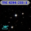 TYC 4294-233-1