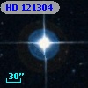 HD 121304