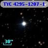 TYC 4295-1207-1