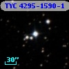 TYC 4295-1590-1