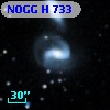 NOGG H  733